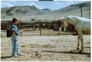 Child making friends with a wild horse