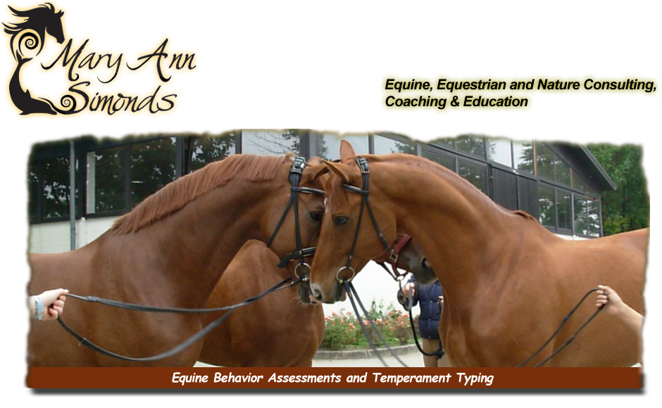 Equine Behavior Assessment & Temperament Typing equine-behavior-assessment-temperament-3