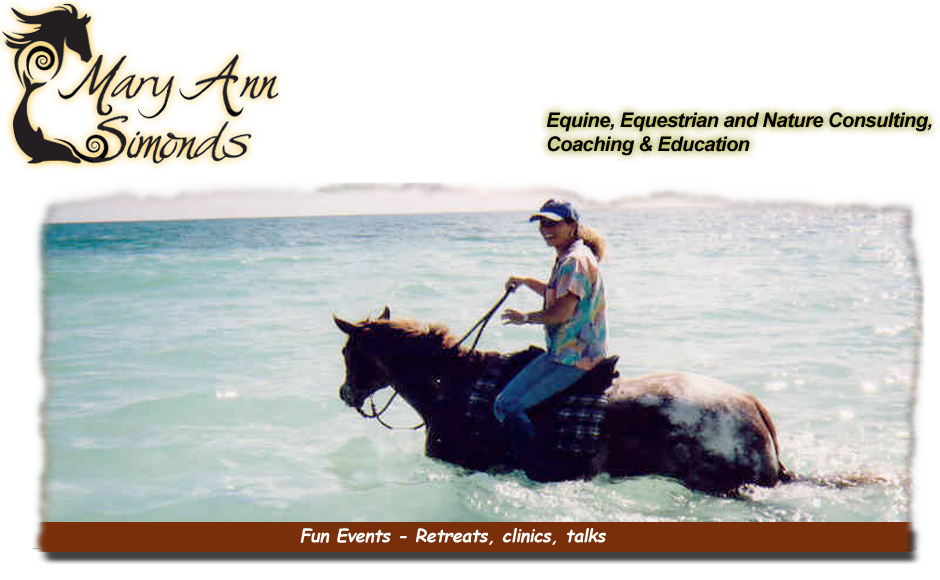 Fun Events fun-events
