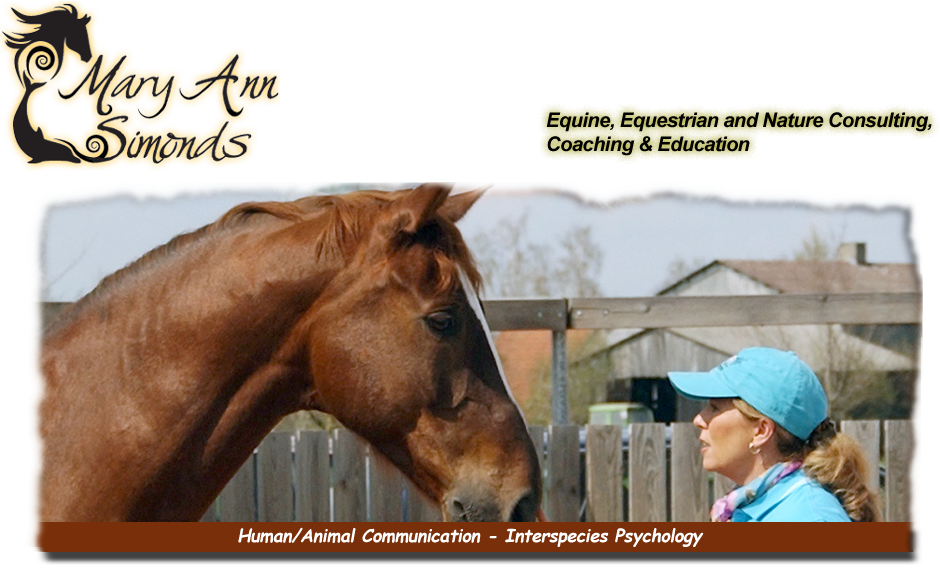 Human Animal Communication human-animal-communication-Interspecies Psychology