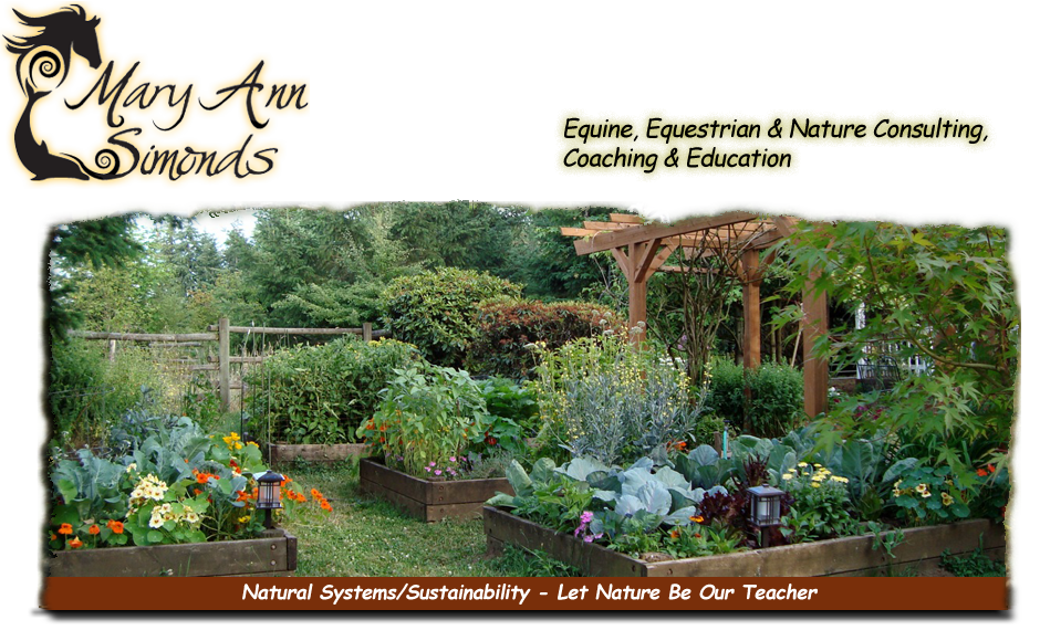 Natural Systems Sustainability natural-systems-sustainability