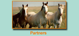 partners