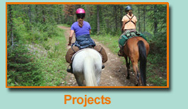 Projects
