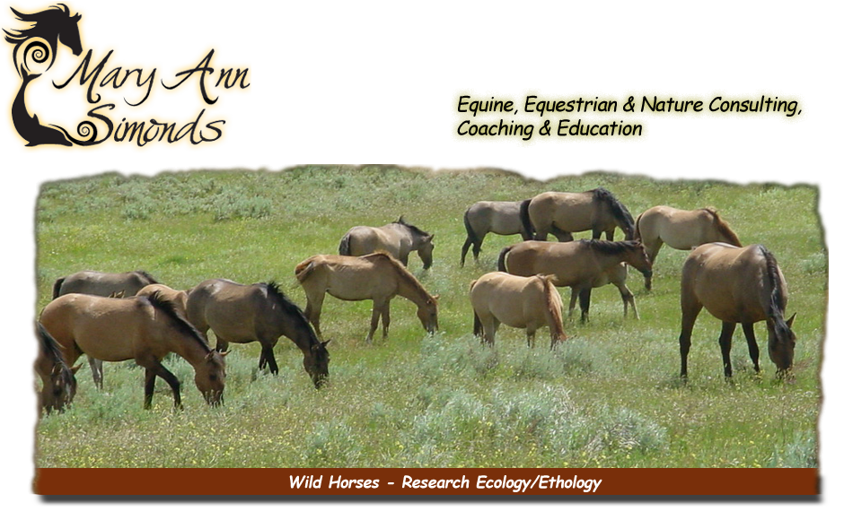 Wild Horses wild-horses- research ecology ethology
